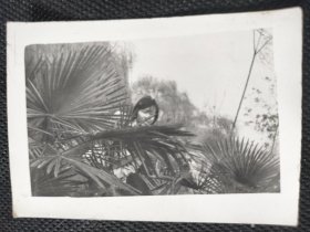 1960年代《老照片》她在树丛中