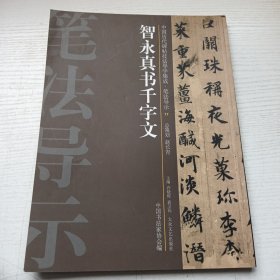 中国历代碑帖技法导学集成，笔法导示17 智永真书千字文