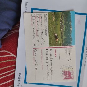 德国邮资明信片1985年草原上的羊群