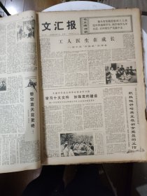 文汇报 原版 1973年(12月1日到31日全)合订