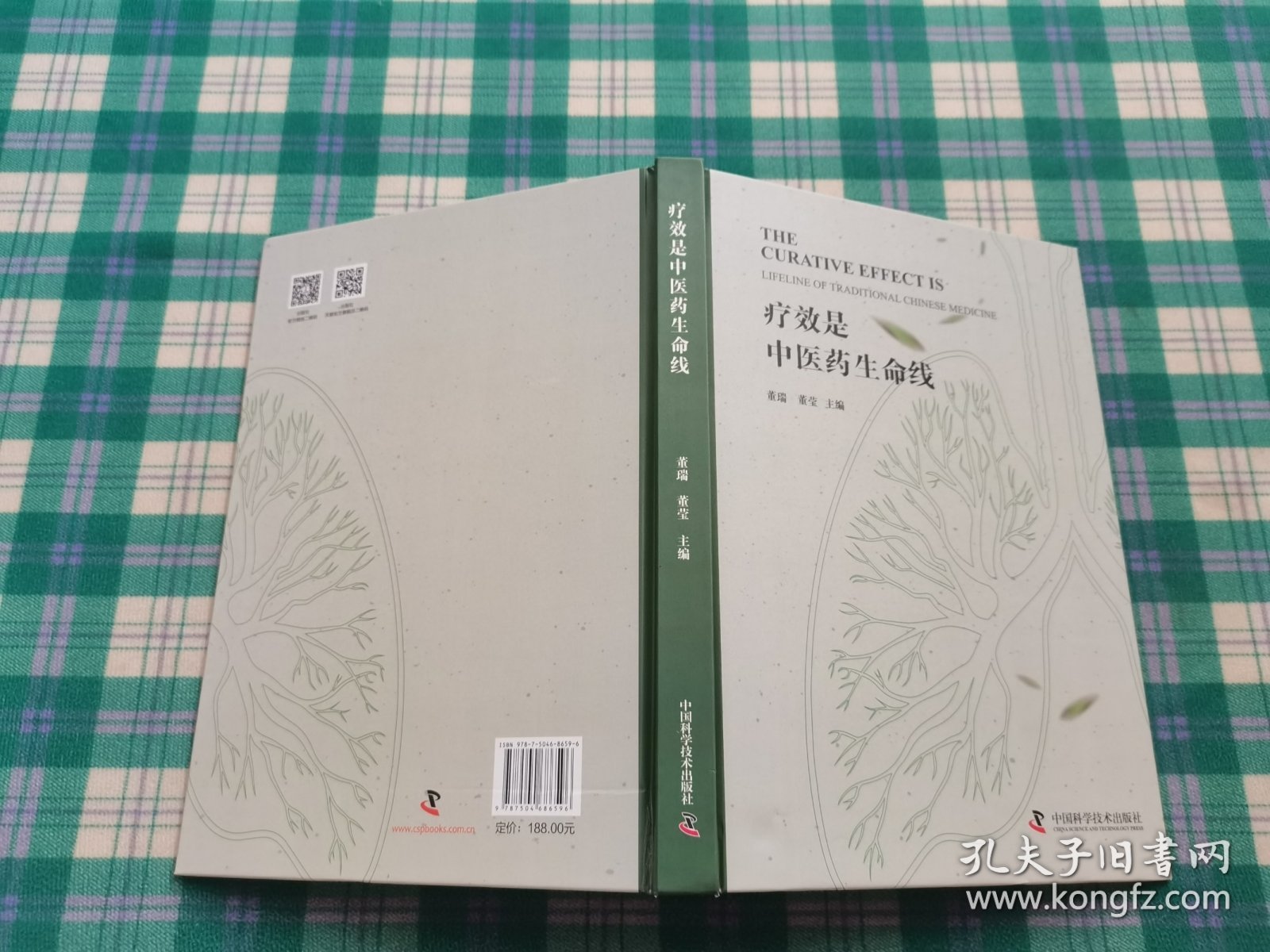 疗效是中医药生命线 方剂学、针灸推拿 董瑞，董莹主编