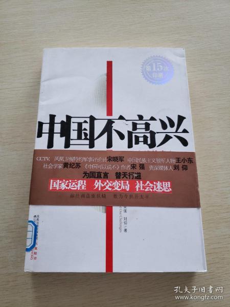 中国不高兴：大时代大目标及我们的内忧外患