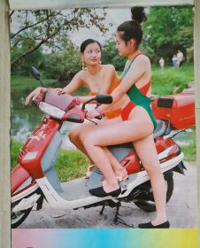 挂历 老挂历 美女挂历 明珠 12张全