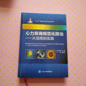 心力衰竭规范化防治：从指南到实践（国家出版基金项目八）