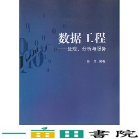 数据工程：处理、分析与服务