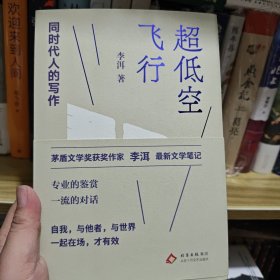 超低空飞行 同时代人的写作