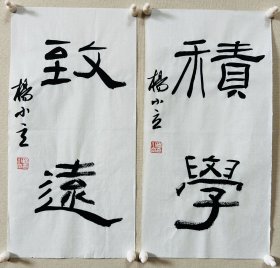 杨小立 ，中国书法家协会会员，河南省南阳市书协副秘书长，宛城区书法家协会副主席兼秘书长。男，1972年出生。 入展获奖： “青川木牍杯”首届全国隶书书法大赛中入展(四川省书协)； 2022“中国书法·年展”全国篆书、隶书、篆刻作品展前41名，获得面试考核(中书协)… 《积学、致远》，小品一幅。保真，来自作者，17x34cm x 2，未装裱，d7287。