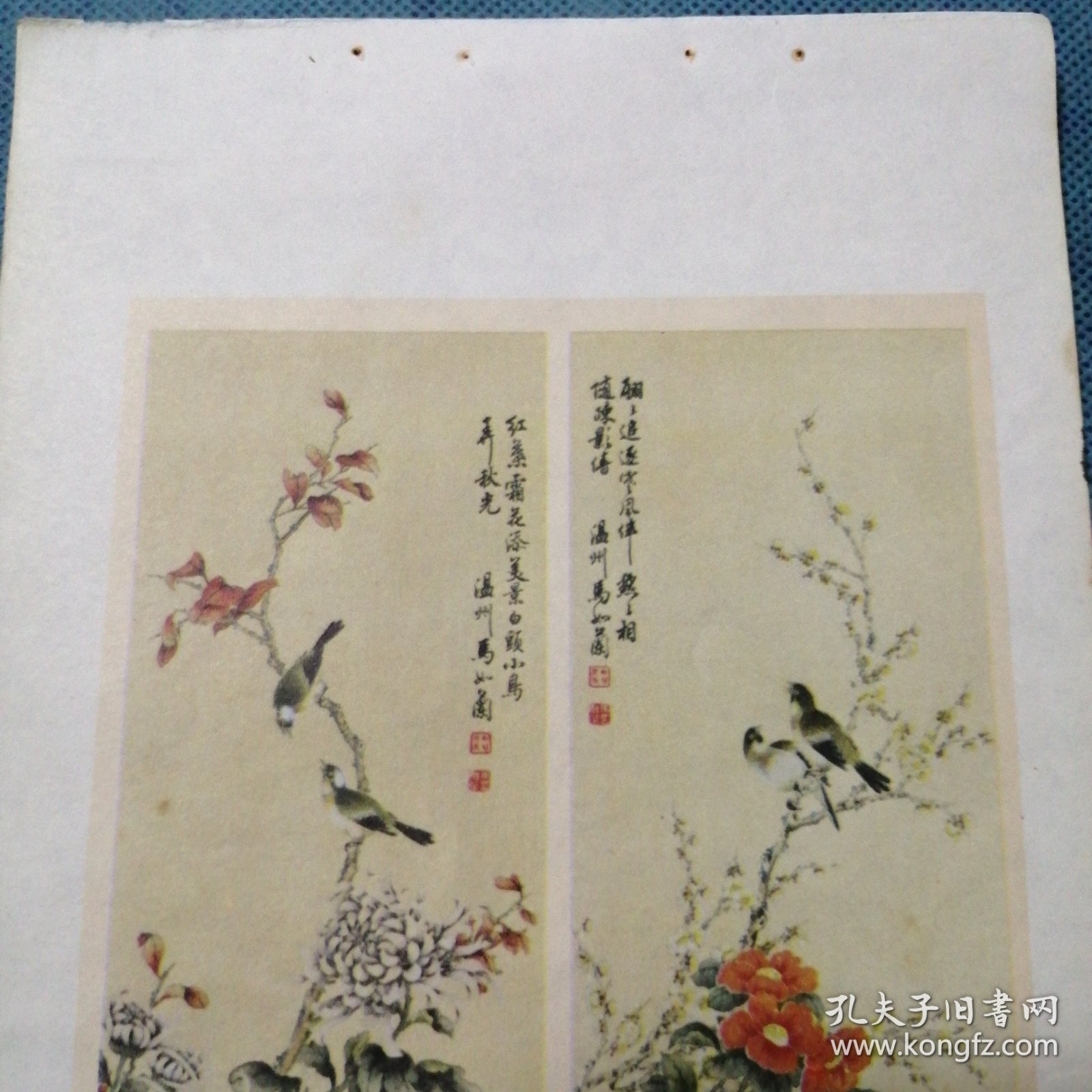 年画缩样散页：《花卉小鸟对屏》