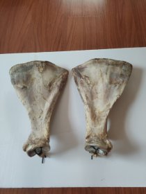 一对大老牛哈拉吧