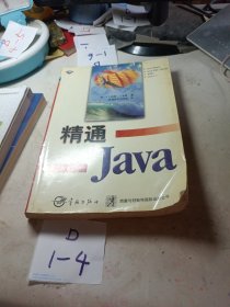 精通 Java