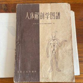 人体解剖学图谱