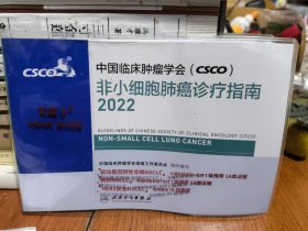 中国临床肿瘤学会（CSCO）非小细胞肺癌诊疗指南2022