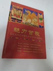 魅力甘孜 （第一碟：梦幻康巴，第二碟：康巴之舞，第三碟：甘孜金曲，第四碟：甘孜金曲）【全4张光盘】