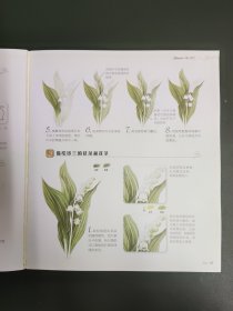 花之绘 ·38种花的色铅笔图绘