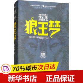 动物小说大王沈石溪经典作品·荣誉珍藏版：狼王梦