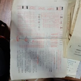 宁乡道林区先代会快讯油印