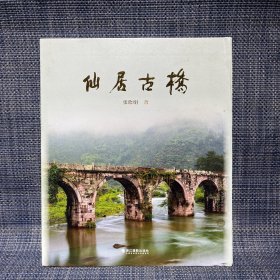 仙居古桥（台州市仙居县，未拆封）