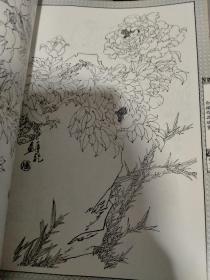 牡丹花白描画谱