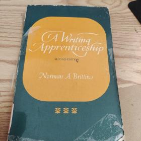 A WRITING APPRENTICESHip,原版英文书