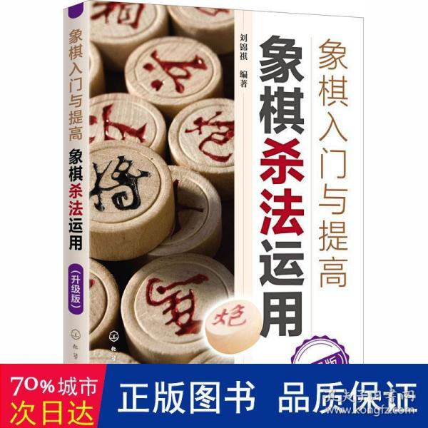 象棋入门与提高：象棋杀法运用（升级版）