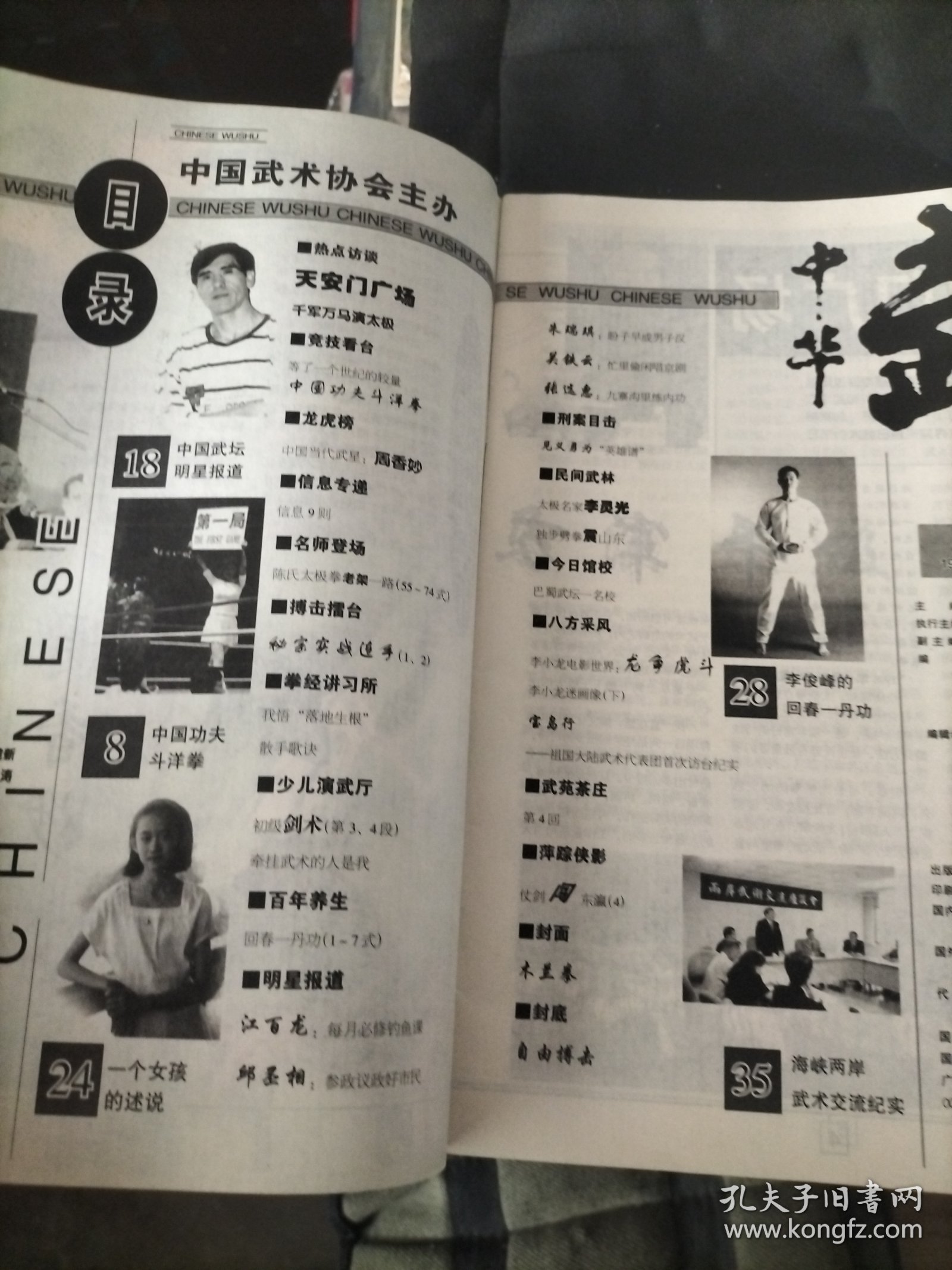 中华武术，自然门擒拿手，武林英雄，中国当代武星，中国武术协会，竞技看台，中国功夫斗洋拳，龙虎榜，中国武坛，陈氏太极拳老架一路，搏击擂台，秘宗实战连手，散手歌诀，初级剑术，百年养生，回春一丹功，内功，民间武林，太极名家，独步劈拳震山东，巴蜀武坛，李小龙电影世界龙争虎斗，萍踪侠影，木兰拳，自由搏击，邱丕相，江百龙，关铁云，张选惠，朱瑞琪，海峡两岸武术交流纪实，