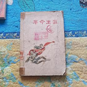 革命生涯