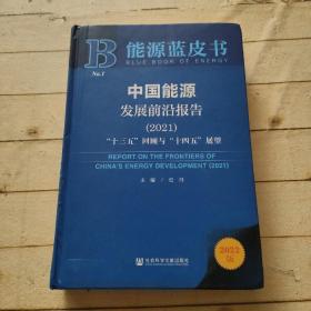 能源蓝皮书：中国能源发展前沿报告（2021）“十三五”回顾与“十四五”展望