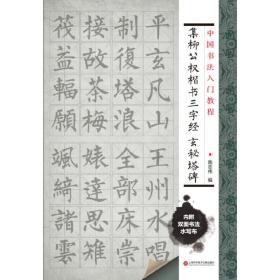 中国书法入门教程 集柳公权楷书三字经：玄秘塔碑（附赠双面环保水写布一块 可临可描）