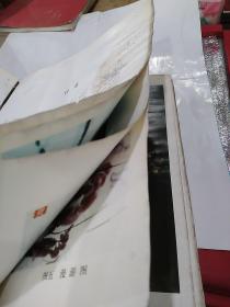 张永忠书画集(品不好,慎拍)