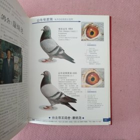 中国鸽典（签名版）