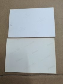 明星写真照片收藏 5寸 林子祥 葛蔼明 彭羚 一组两张齐售