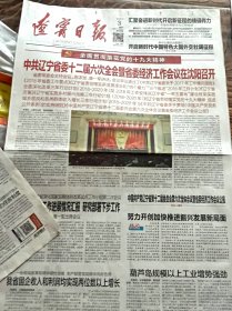 辽宁日报  2018年1月3日 (全新包邮)