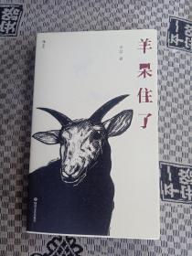 羊呆住了（知乎名人李盆作品首次结集出版）