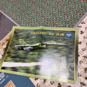 巴西空军涂装的"阵风"战斗机画片