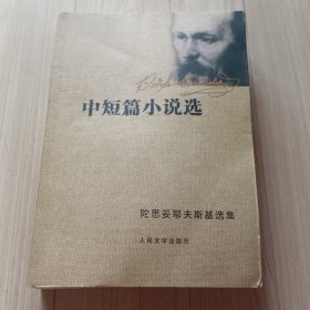 中短篇小说选：陀思妥耶夫斯基选集