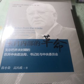 大党治理与大国兴衰研究丛书-来自内部的革命 来自下面的革命两册合售