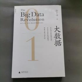 大数据：正在到来的数据革命，以及它如何改变政府、商业与我们的生活