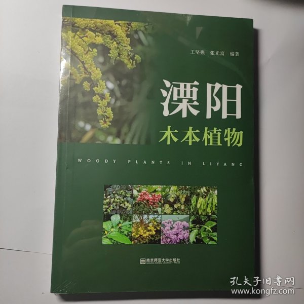 溧阳木本植物