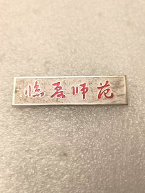 甘肃临夏师范校徽