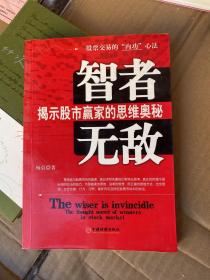 智者无敌：揭示股市蠃家的思维奥秘