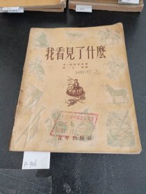 我看見了什么