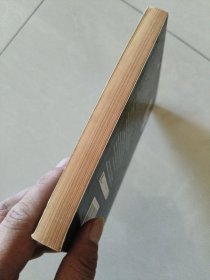 Captain Pantoja and the Special Service