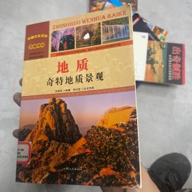 中国文化百科 壮丽河山 地质：奇特地质景观（彩图版）