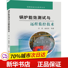 锅炉能效测试与远程监控技术（特种设备安全技术丛书）