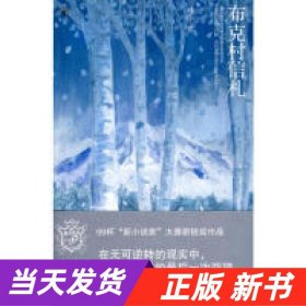 布克村信札：新小说家系列