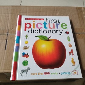 First picture dictionary