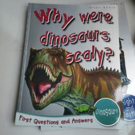 Why we're dinosaurs scaly? (First Questions And Answers) 科普绘本 你问我答