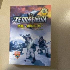 铁血战鹰队系列 浴血，金鹰战斗机