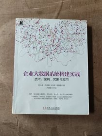 企业大数据系统构建实战：技术、架构、实施与应用