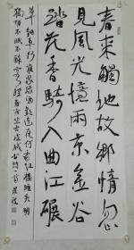 书法作品：“春来触地故乡情”，纸本书写